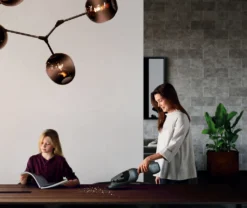 AEG Electrolux QX9-1ULT Akkusauger -Staubsauger Geschäft 7b57eae8f393f43642dcb4c7f07a5c16